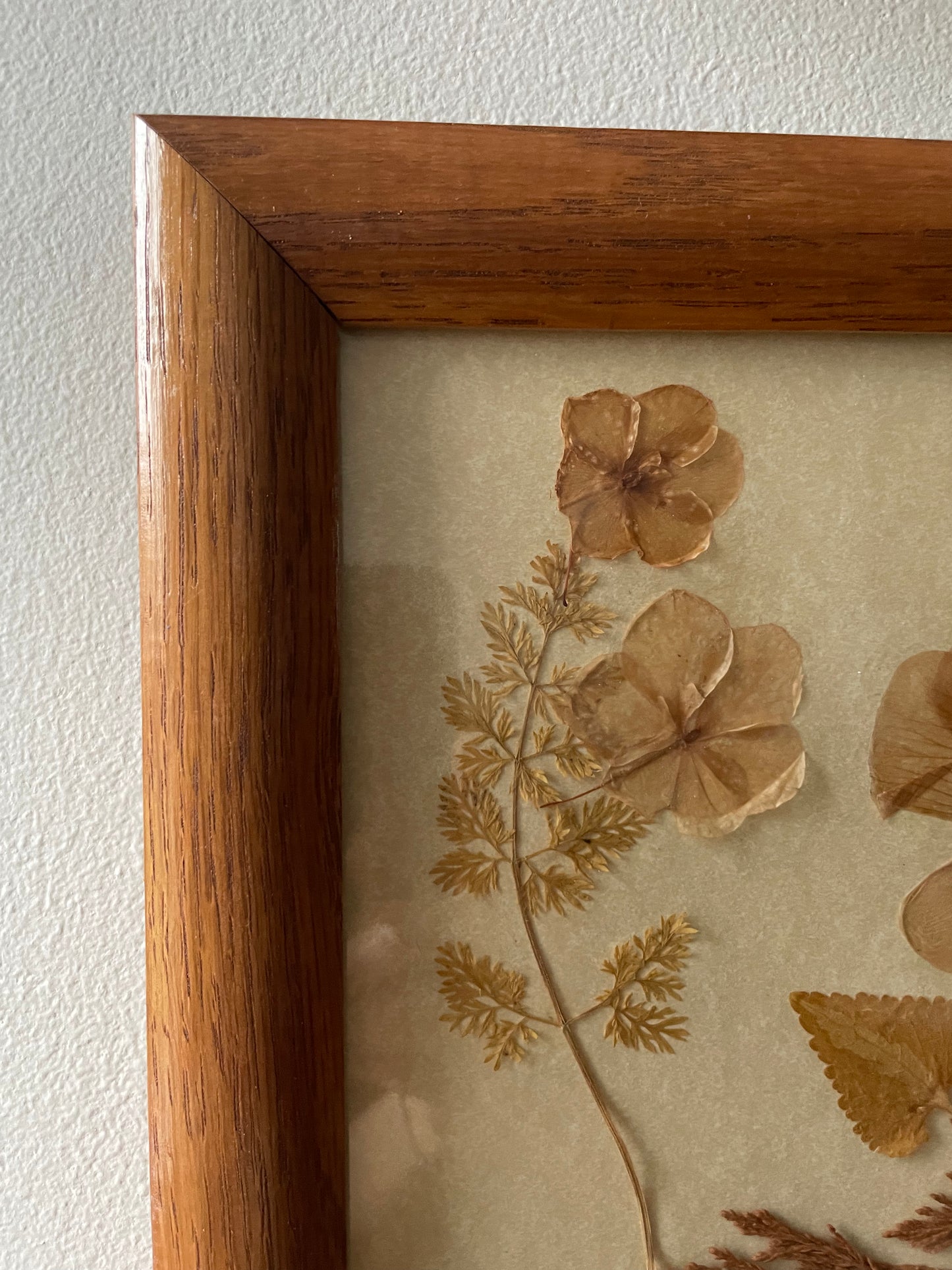 vintage dried flowers frame